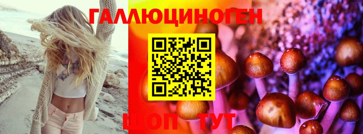Галлюциногенные грибы прущие грибы  Галлюциногенные грибы MAGIC MUSHROOMS  Вход с VPN  закладки  Черняховск 
